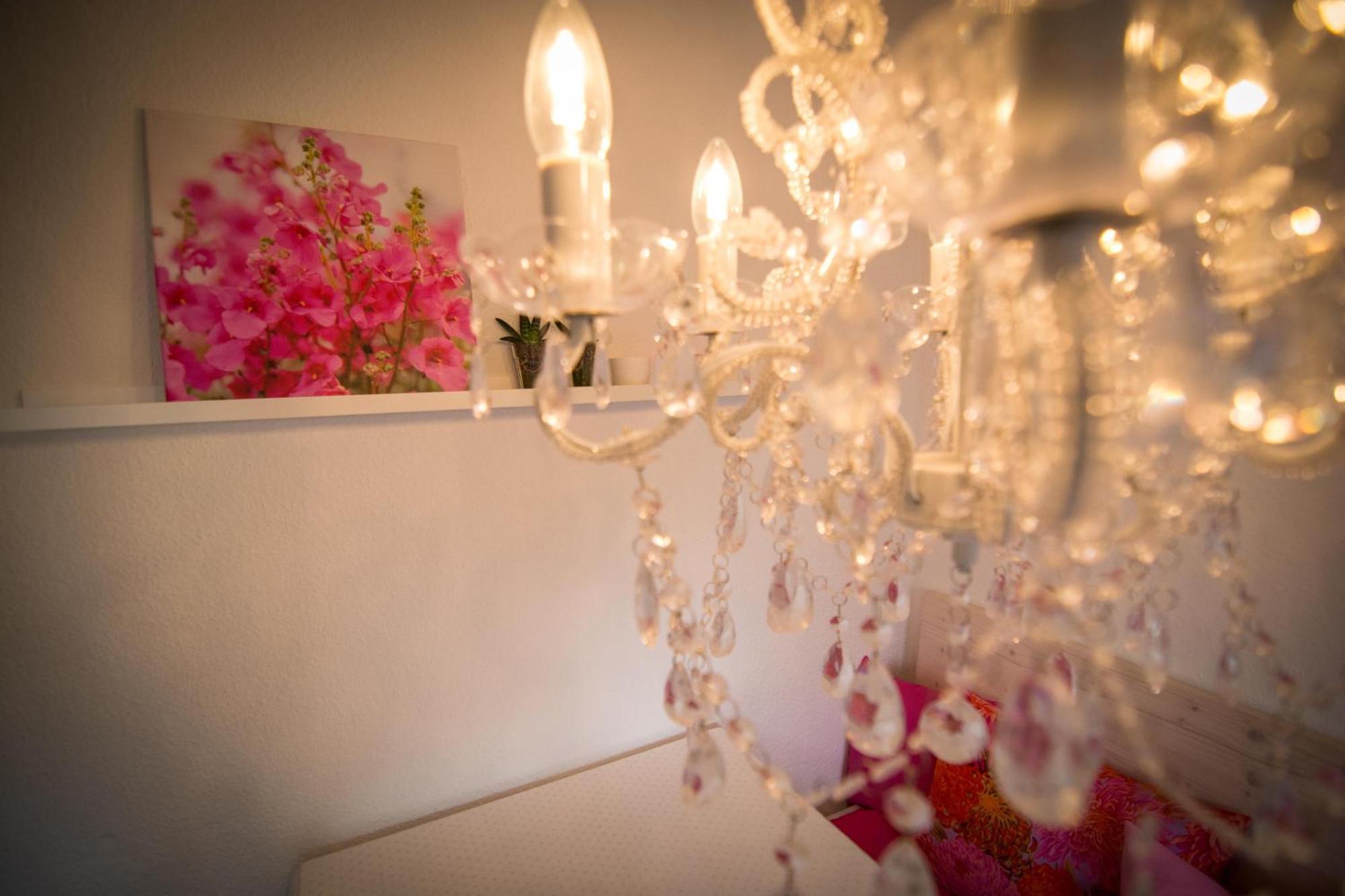 Boutique Ferienwohnungen Mit Gartensauna, Naehe Europapark Und Strassburg "Uebernacht - Am Talbach" 奥芬堡 外观 照片