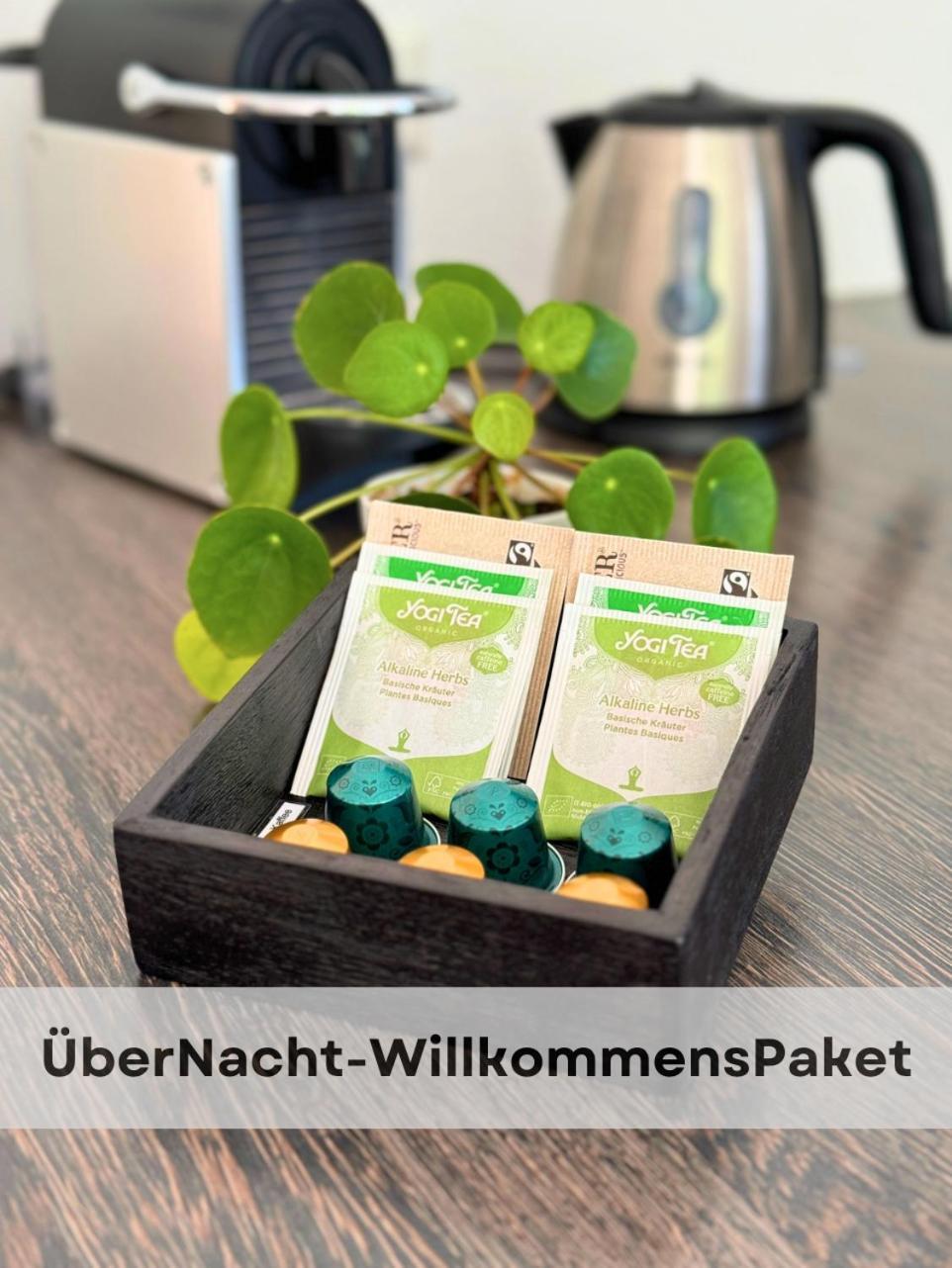Boutique Ferienwohnungen Mit Gartensauna, Naehe Europapark Und Strassburg "Uebernacht - Am Talbach" 奥芬堡 外观 照片